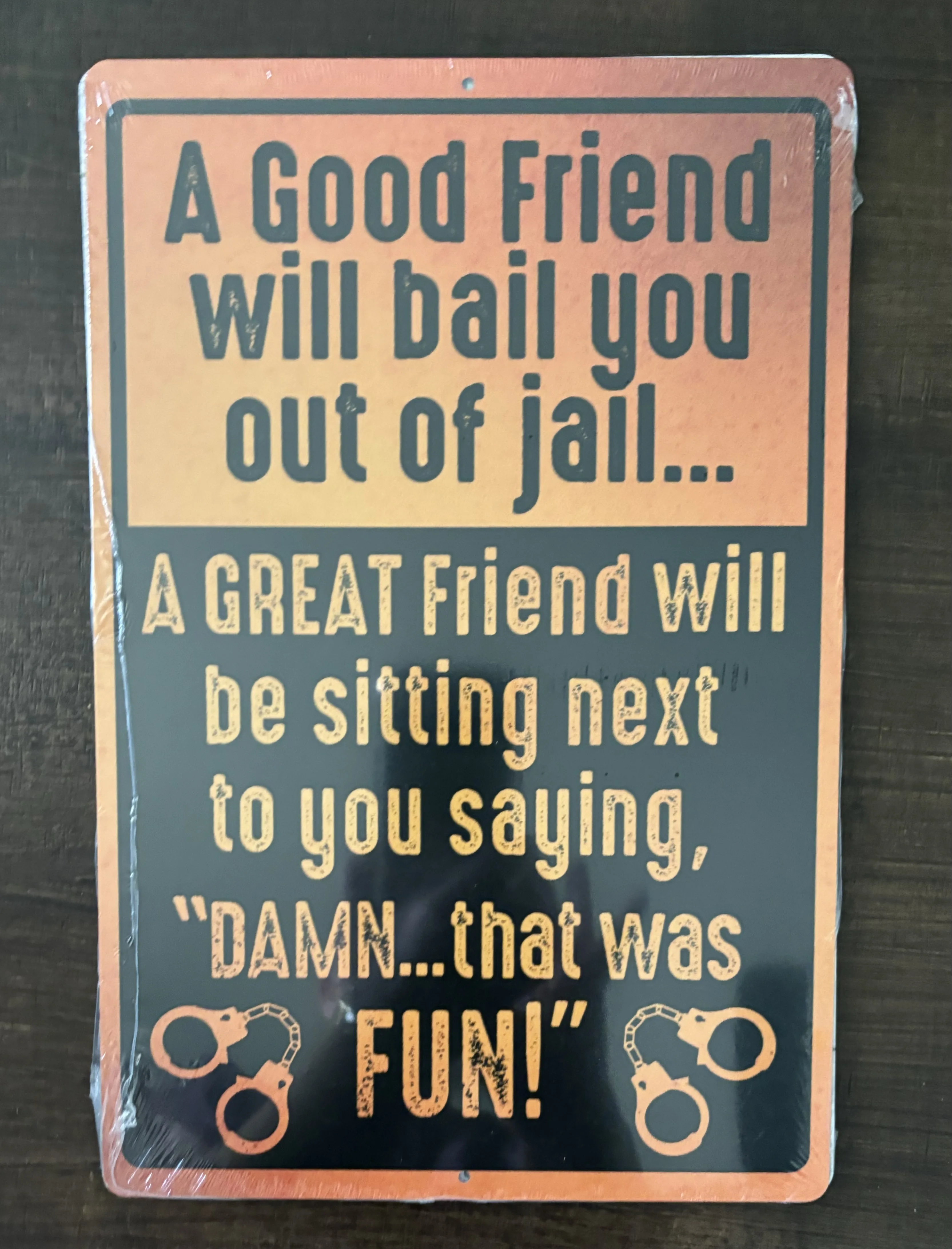 A Good Friend Will Bail You Out Of Jail-A Great Friend Will Be Sitting Next To You Saying, "Damn...That Was Fun" - Funny Quotes Metal Sign