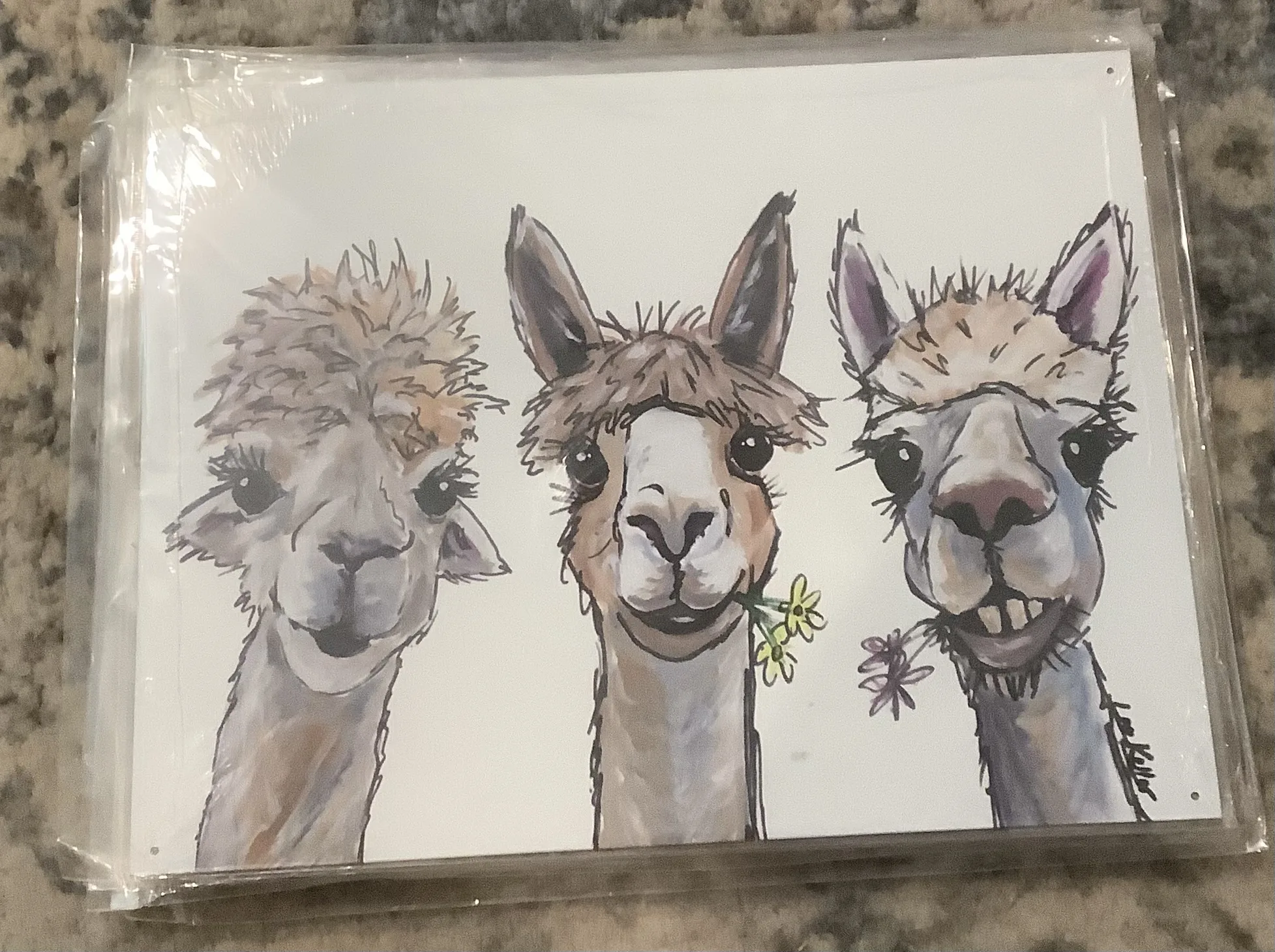 Alpaca Trio - Tin Signs Metal Sign