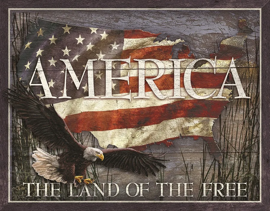 America-The Land Of The Free - Tin Signs Metal Sign