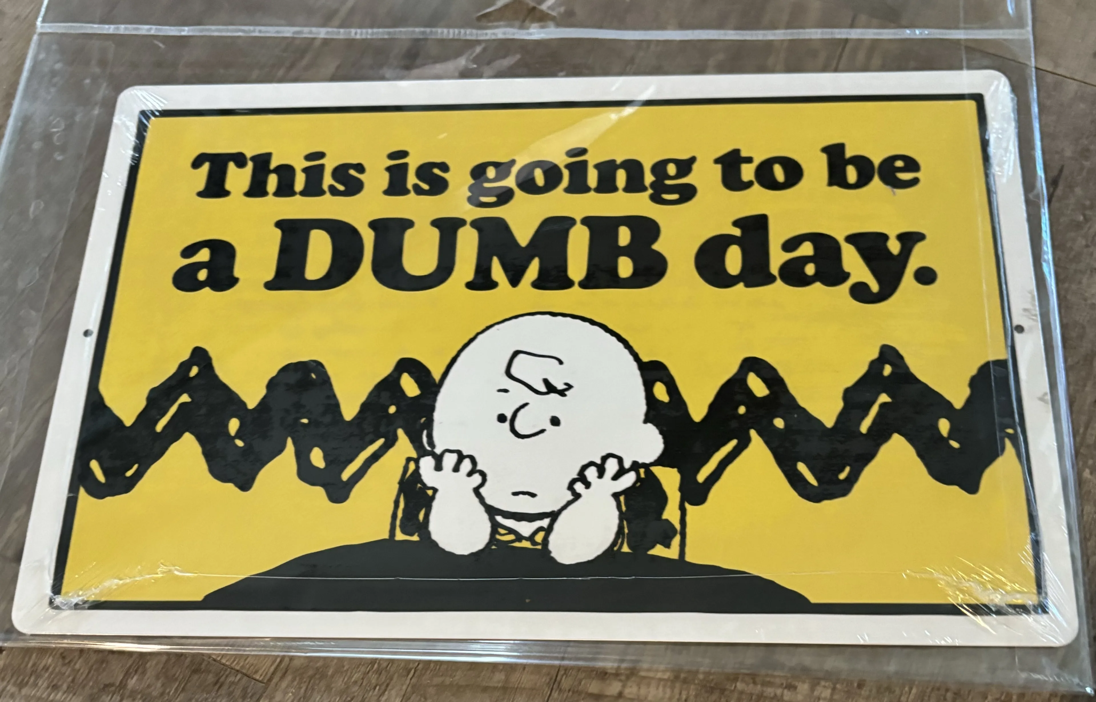 Charlie Brown-This Is Going To Be A Dumb Day - Comics & Superheroes Metal Sign