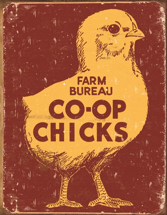 Co-Op Chicks - Tin Signs Metal Sign