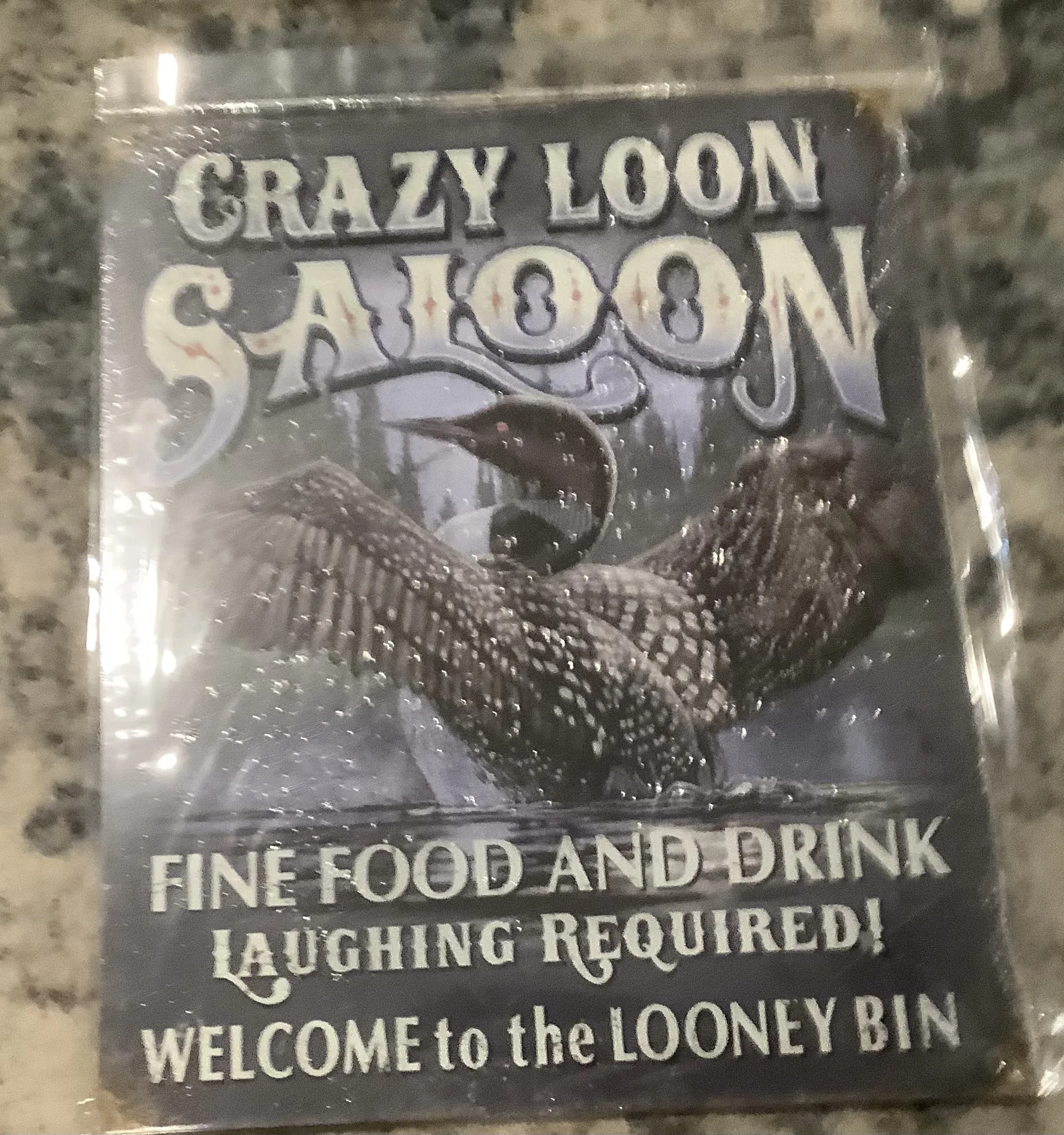 Crazy Loon Saloon-Welcome to The Looney Bin - Tin Signs Metal Sign