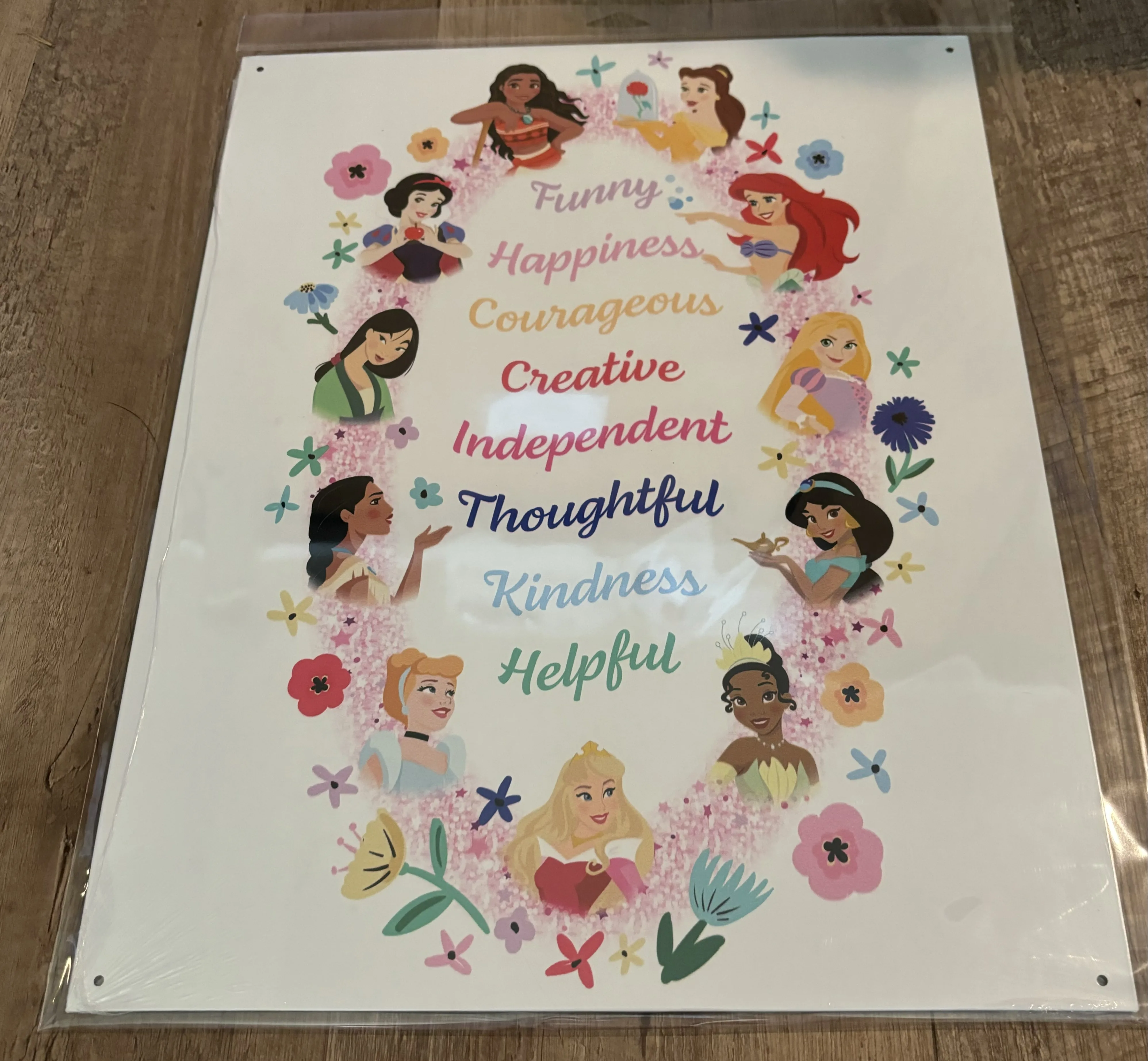 Disney-Princesses - Disney Metal Sign