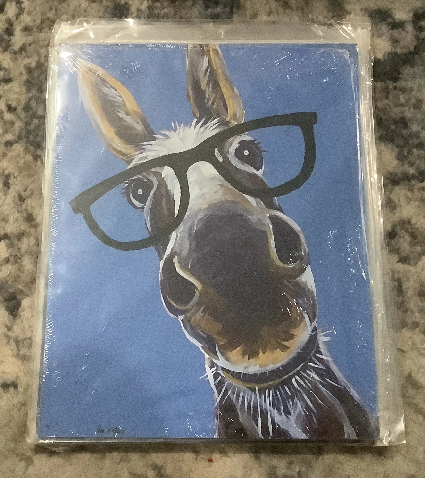 Donkey With Glasses - Tin Signs Metal Sign