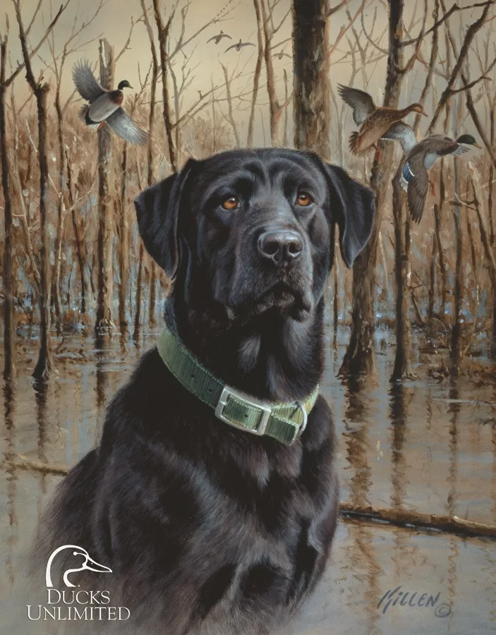 Ducks Unlimited - Great Retrievers (Black Lab By River With Ducks Flying Behind Him) - Tin Signs Metal Sign