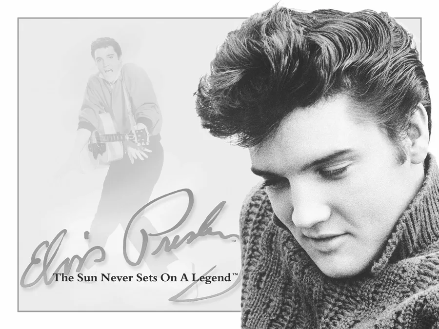 Elvis-The Sun Never Sets - Tin Signs Metal Sign