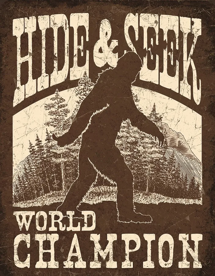 Hide And Seek World Champion - Tin Signs Metal Sign
