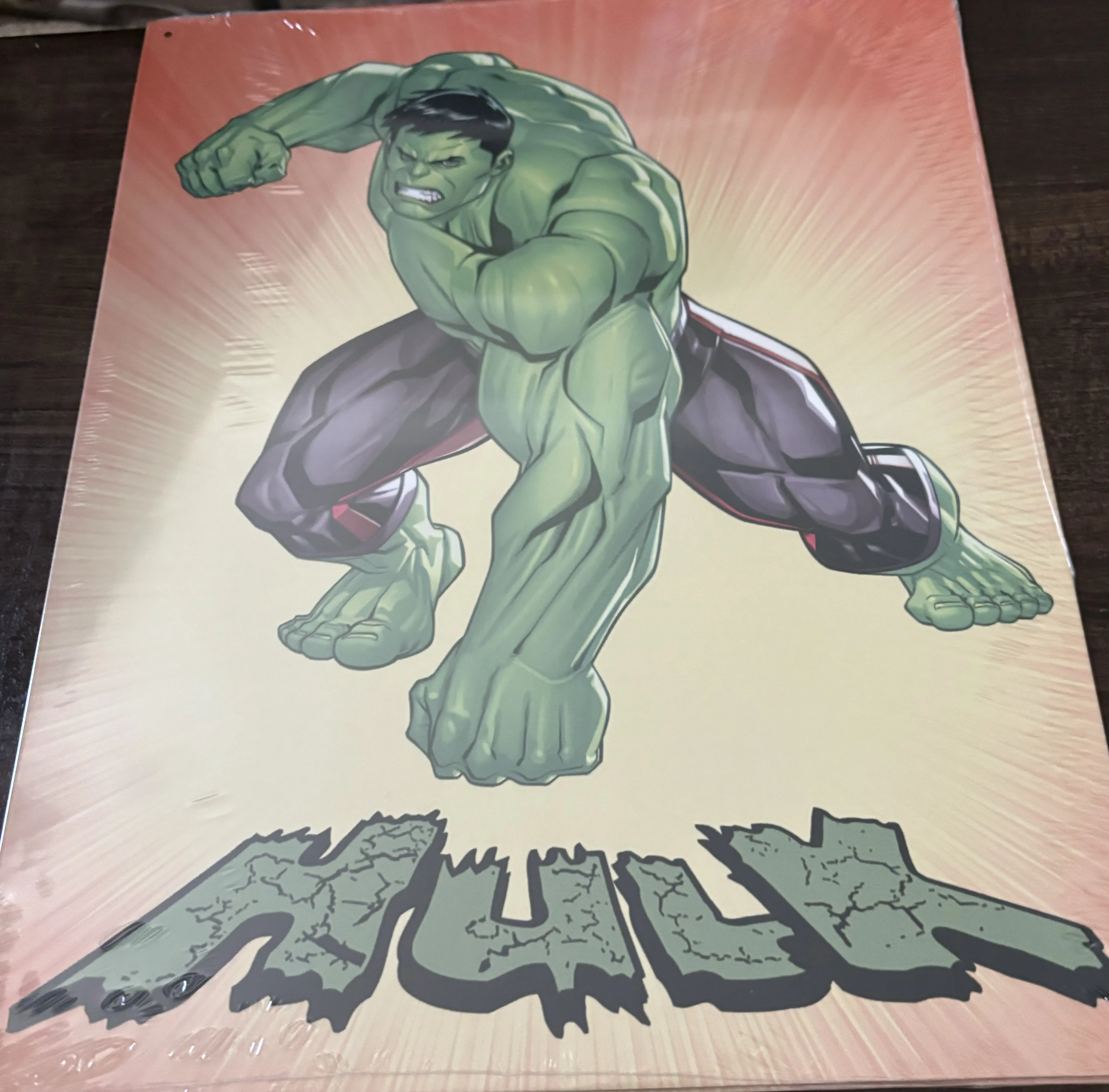 Hulk-Geometric - Tin Signs Metal Sign