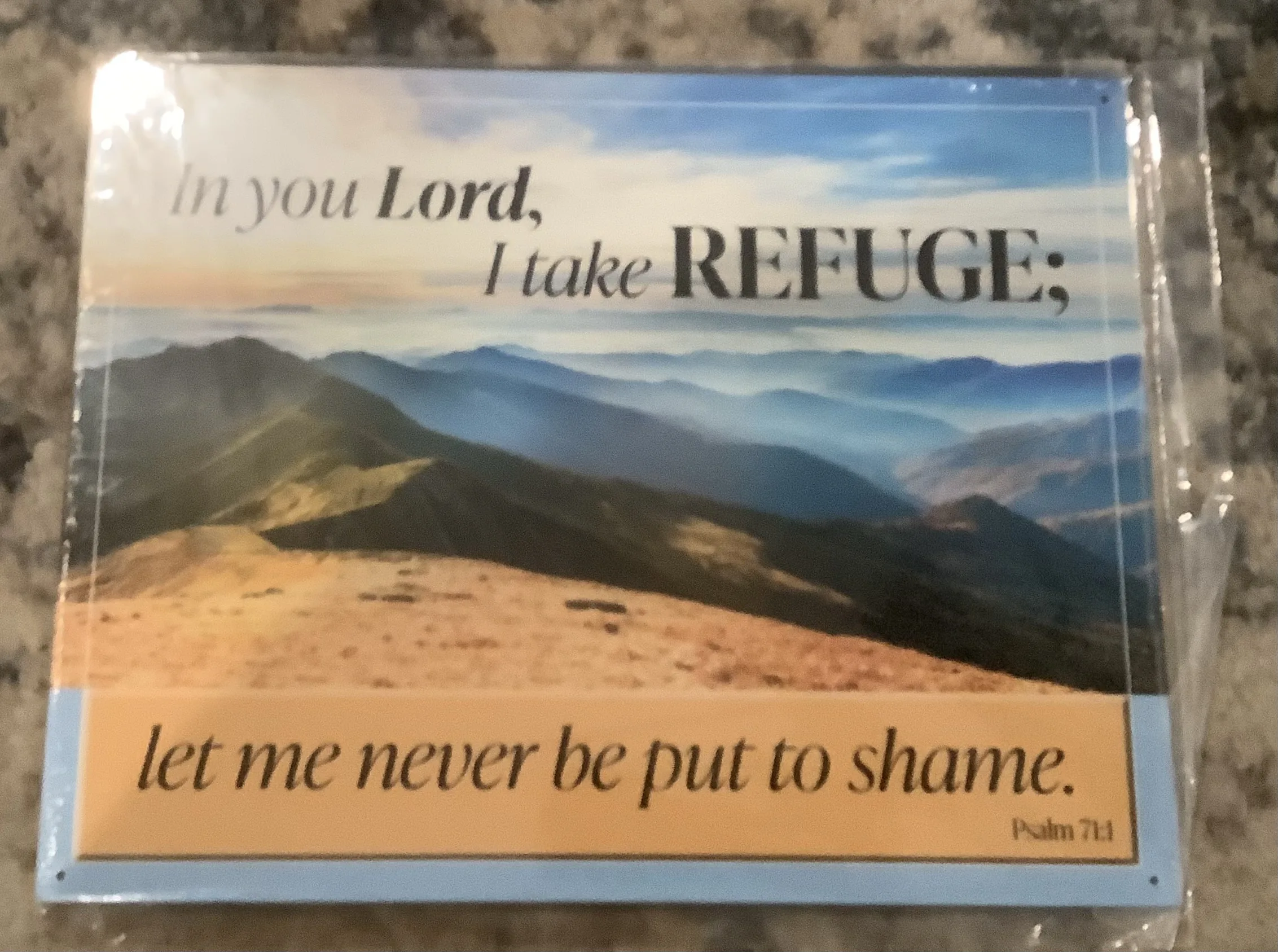 In You Lord I Take Refuge-Let Me Never Be Put To Shame - Tin Signs Metal Sign