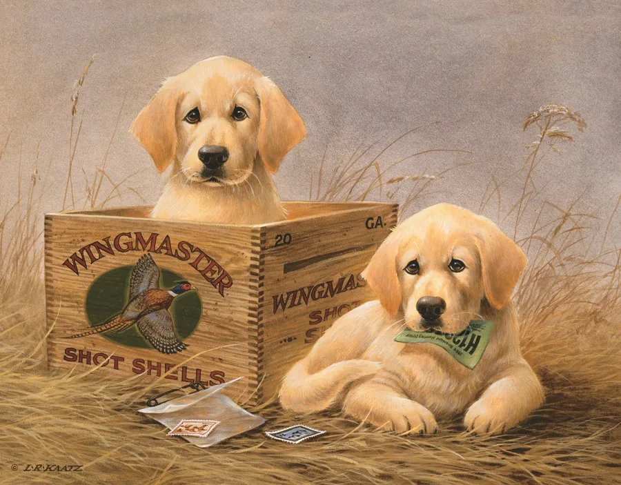 Kaatz Wingmasters - (2 Yellow Lab Pups in Winchester Box) - Tin Signs Metal Sign