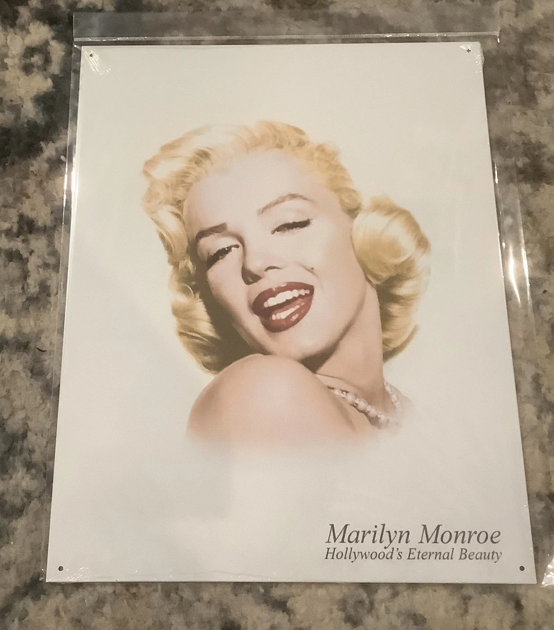 Marilyn Monroe-Hollywood’s Eternal Beauty - Tin Signs Metal Sign