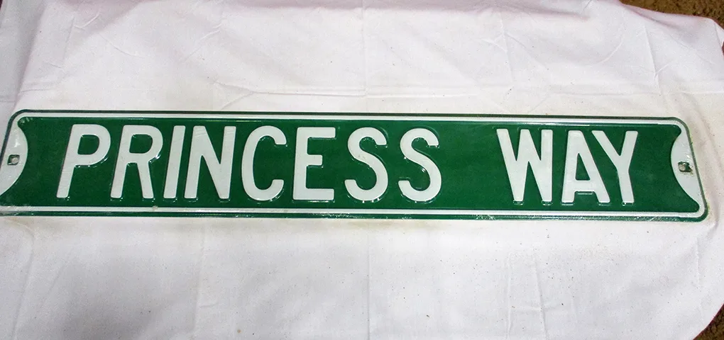 Princess Way - Street Signs Metal Sign