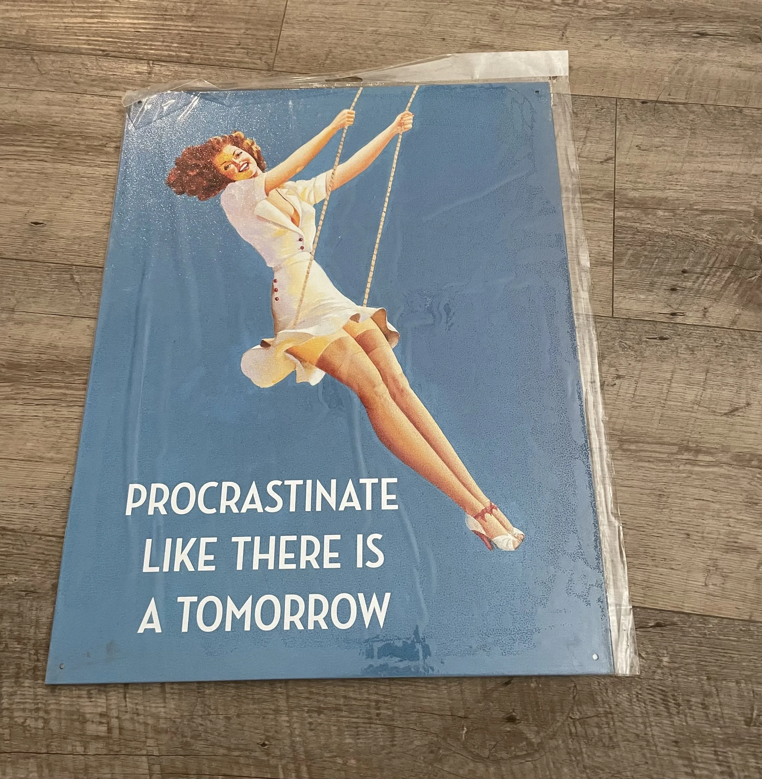 Procrastinate Like There Is A Tomorrow - Tin Signs Metal Sign