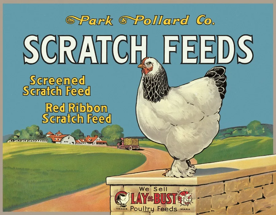 Scratch Feeds - Tin Signs Metal Sign