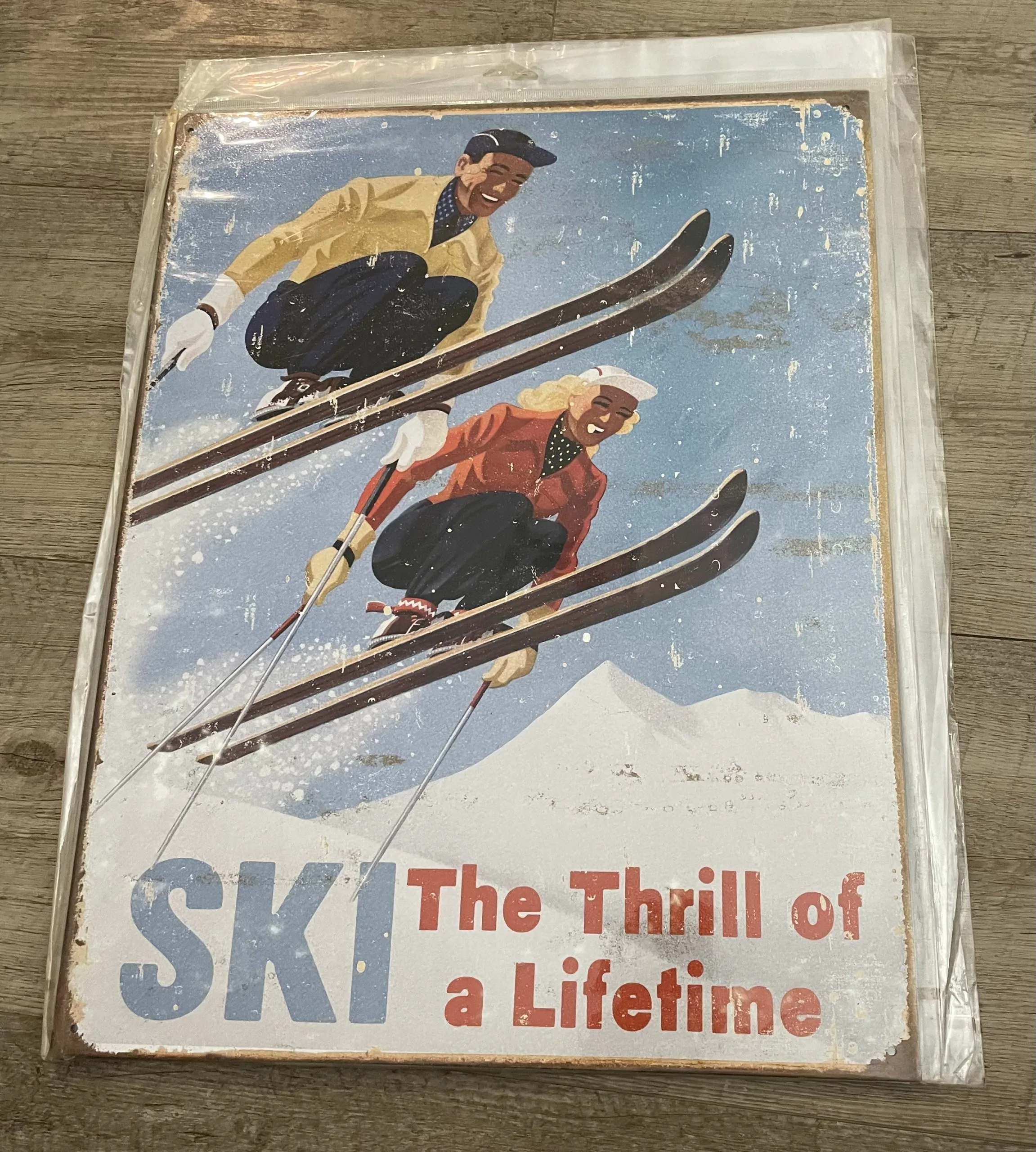 Ski-The Thrill Of A Lifetime - Tin Signs Metal Sign