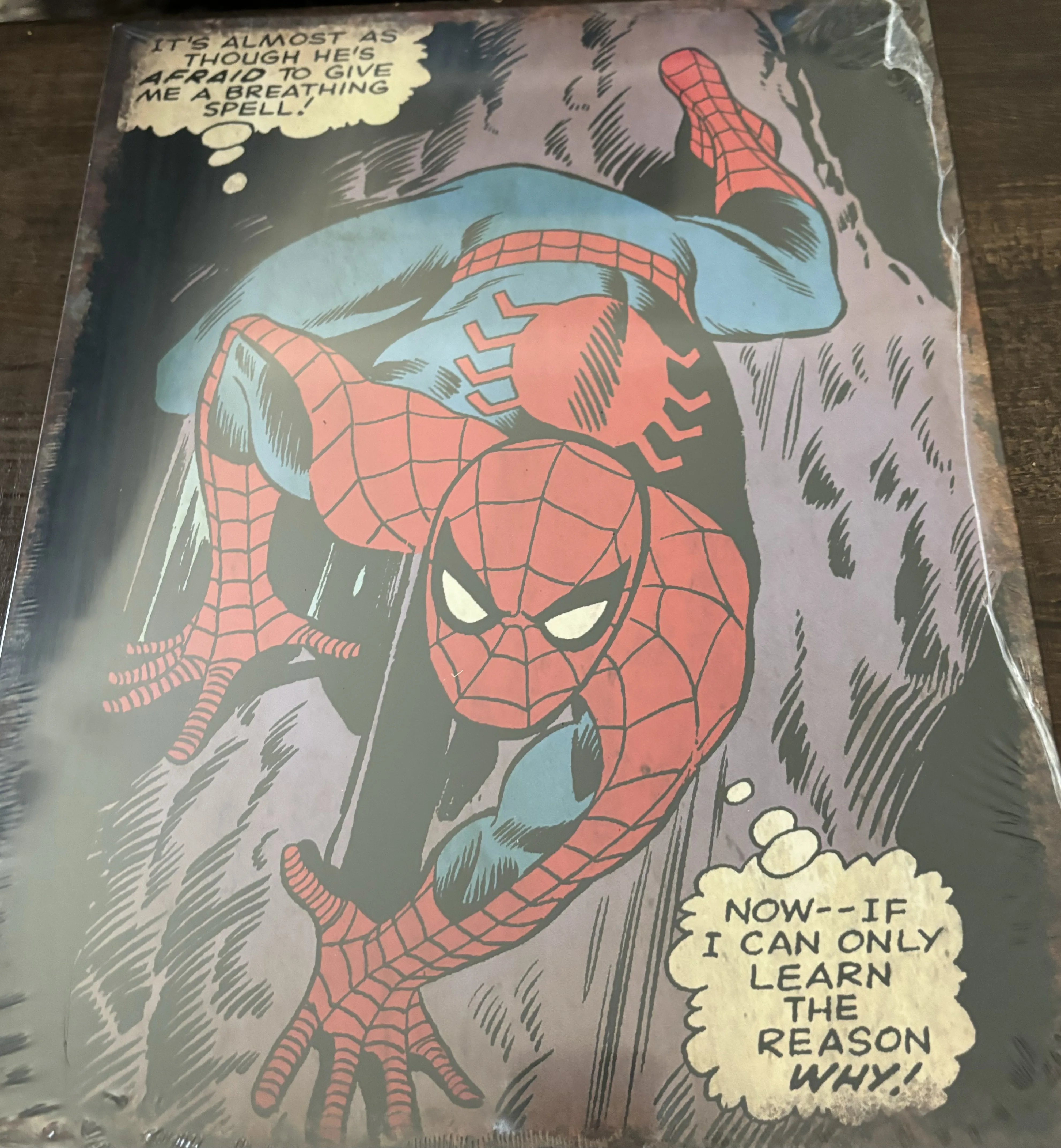 Spiderman-It's Almost As Though He's Afraid To Give Me A Breathing Spell - Tin Signs Metal Sign