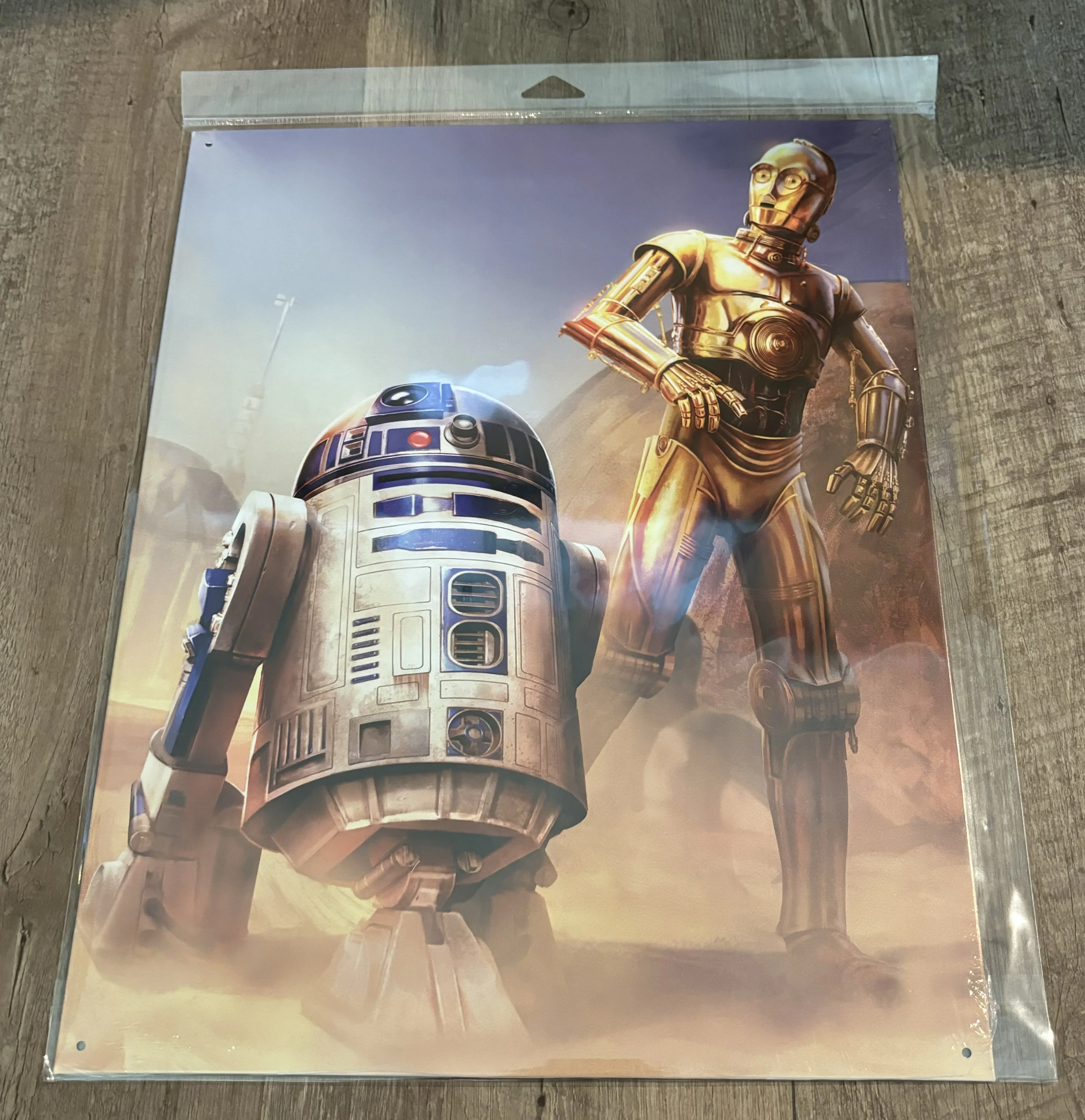 Star Wars-C-3PO & R2D2 - Star Wars Metal Sign