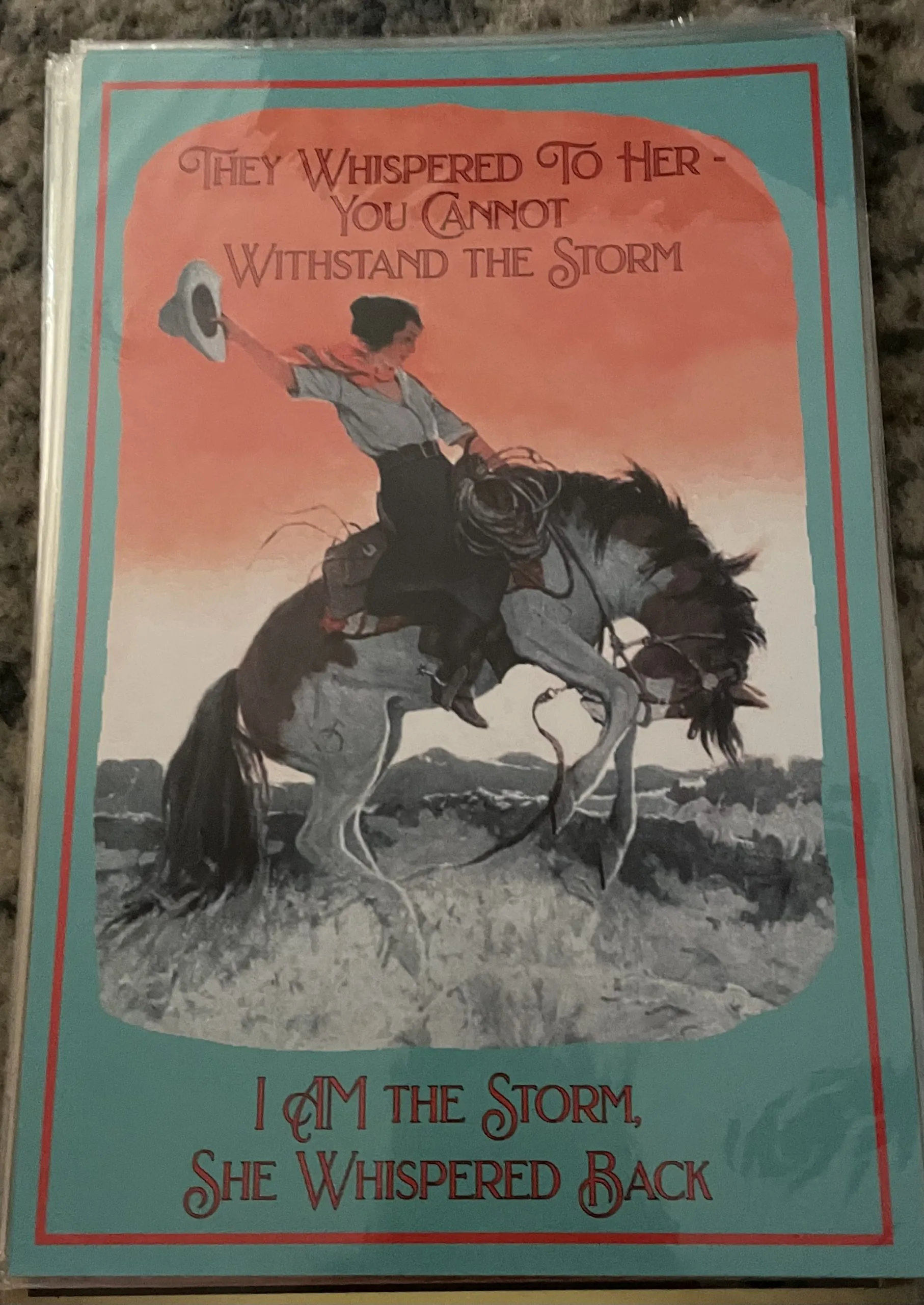 They Whispered To Her-You Cannot Withstand The Storm-I Am The Storm-She Whispered Back (Small) - Rodeo Posters Metal Sign