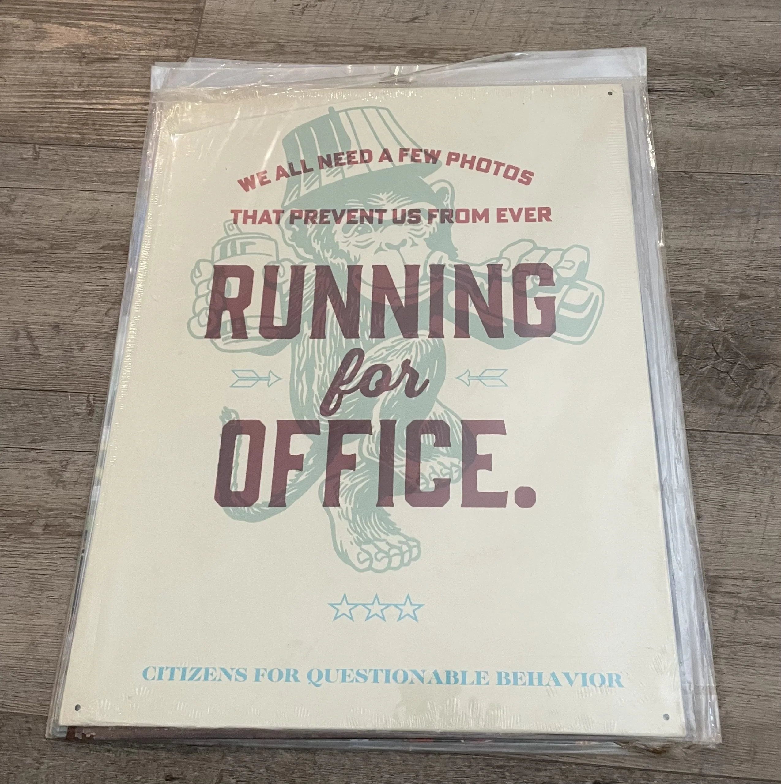 We All Need A Few Photos That Prevent Us From Ever Running For Office - Political Metal Sign