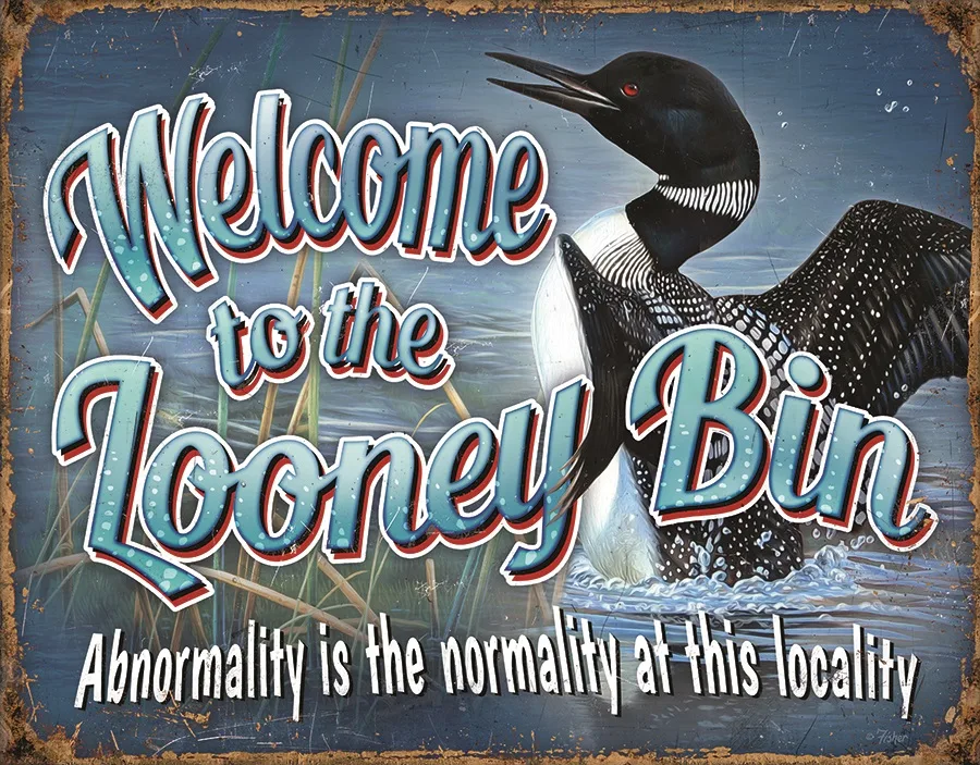 Welcome To The Looney Bin - Tin Signs Metal Sign