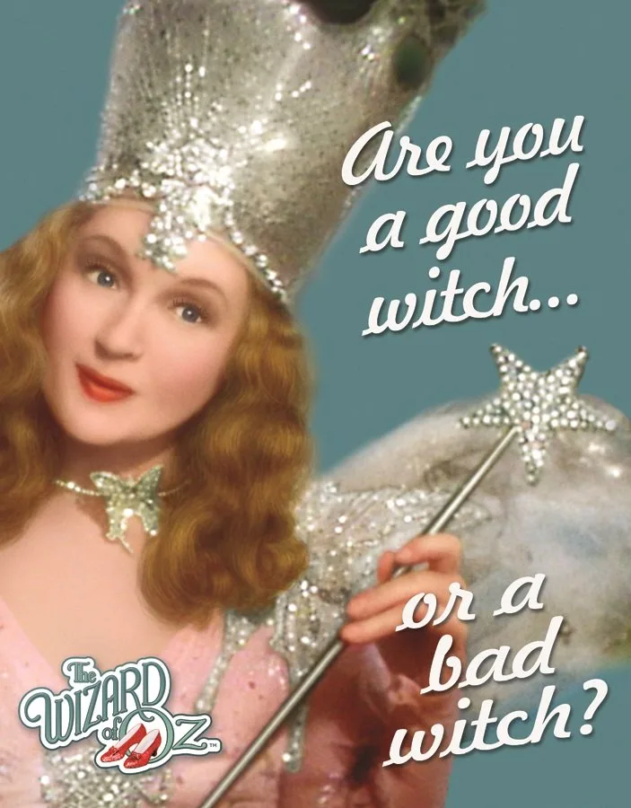Wizard of Oz - Are You a Good Witch…or a Bad Witch? - Tin Signs Metal Sign