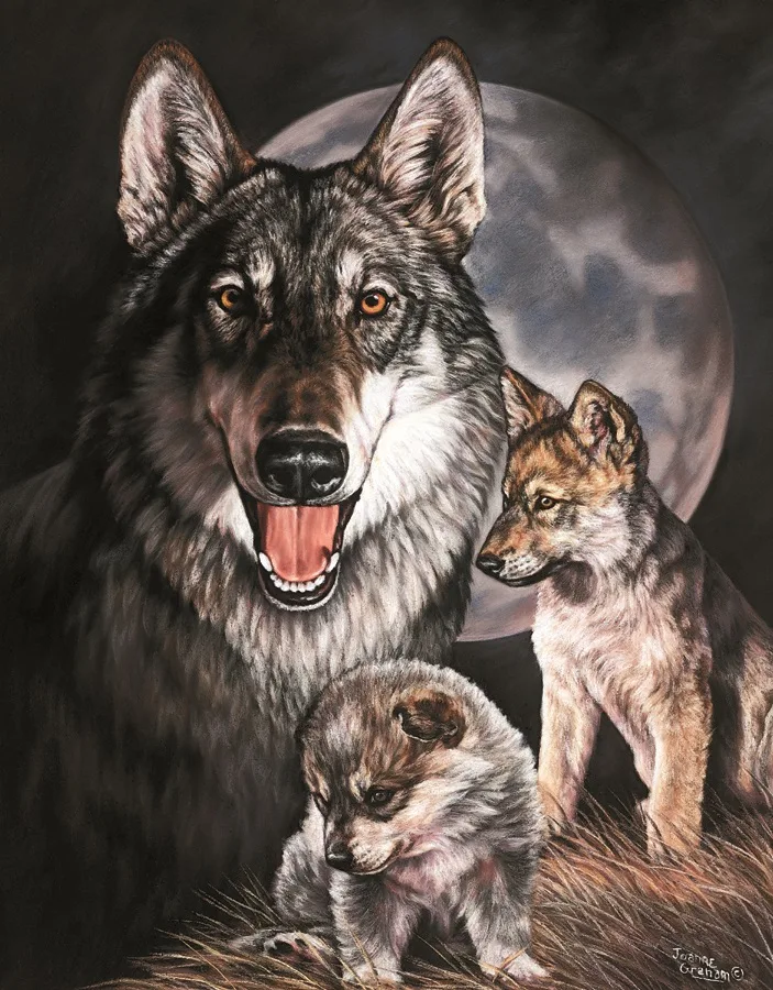 Wolf Experience (By Joanne Graham) - Tin Signs Metal Sign