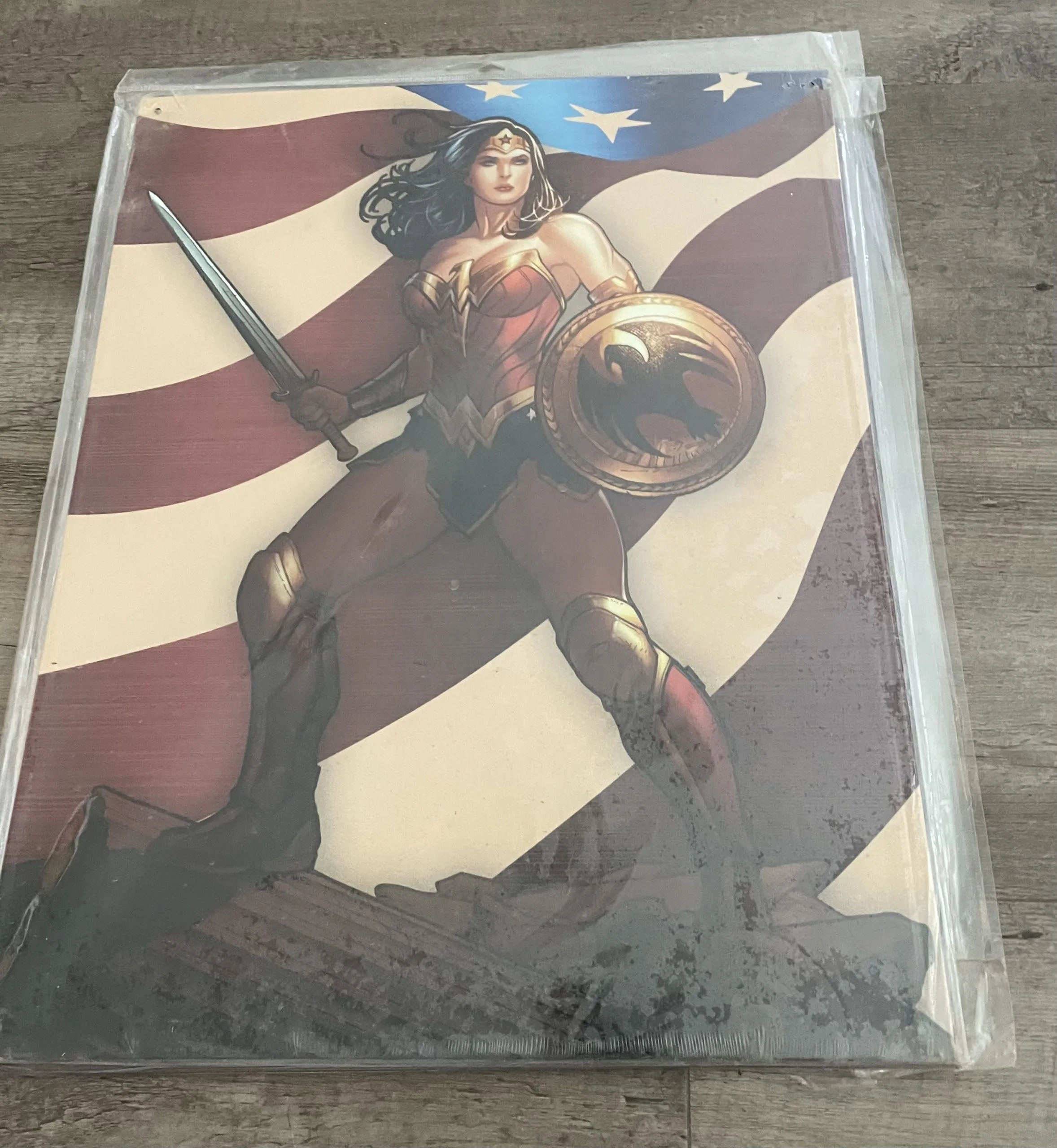 Wonder Woman With Sword - Tin Signs Metal Sign