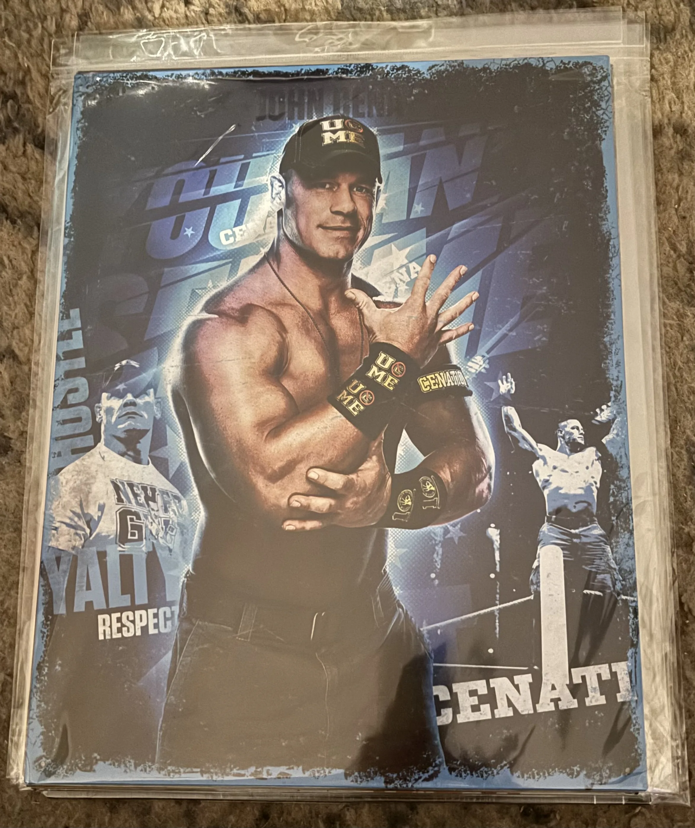 WWE-John Cena - Tin Signs Metal Sign