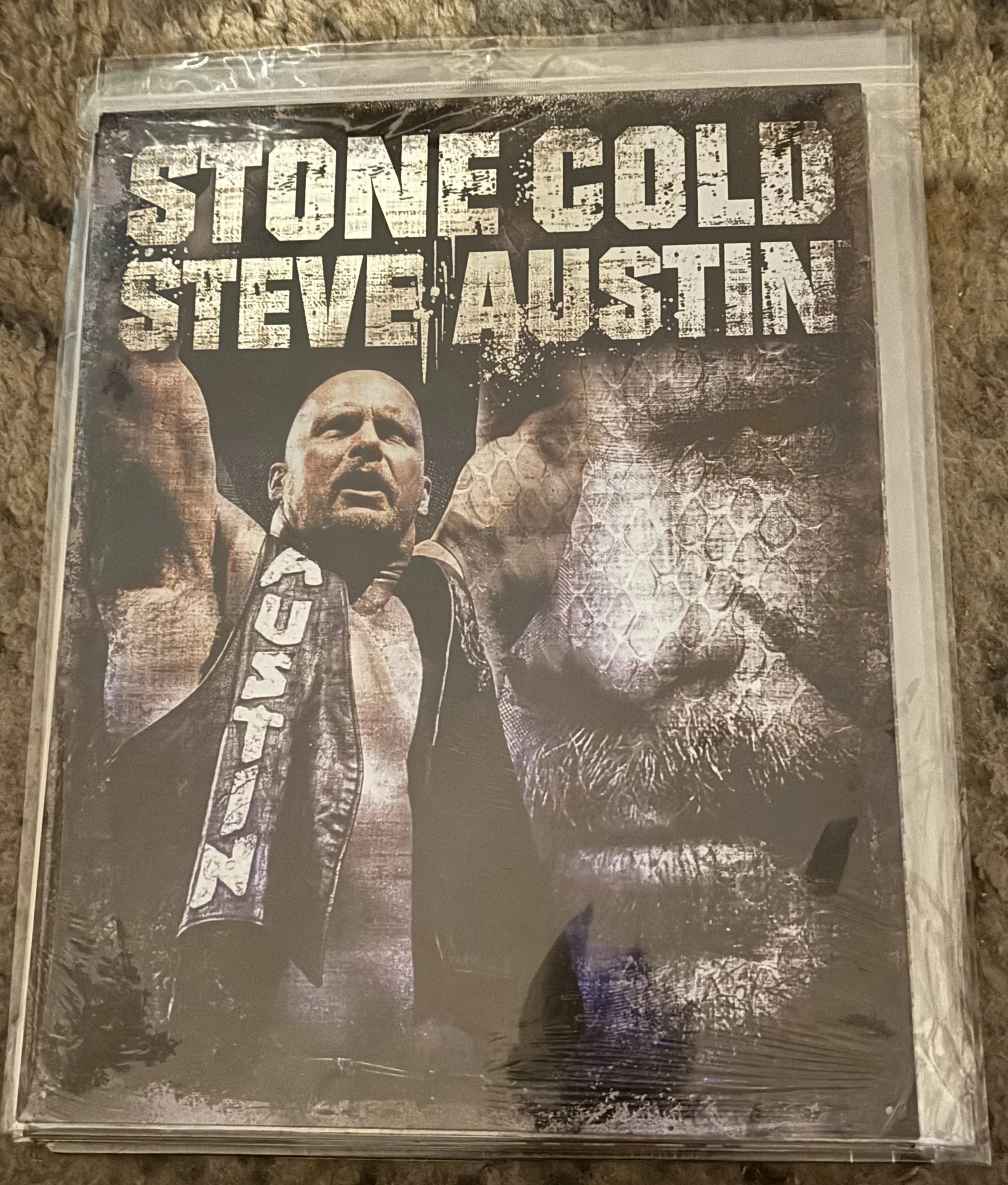 WWE-Stone Cold Steve Austin - Tin Signs Metal Sign